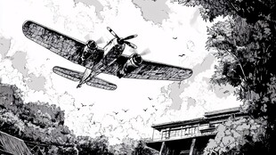 妖精视频恋爱漫画夏日回声封面